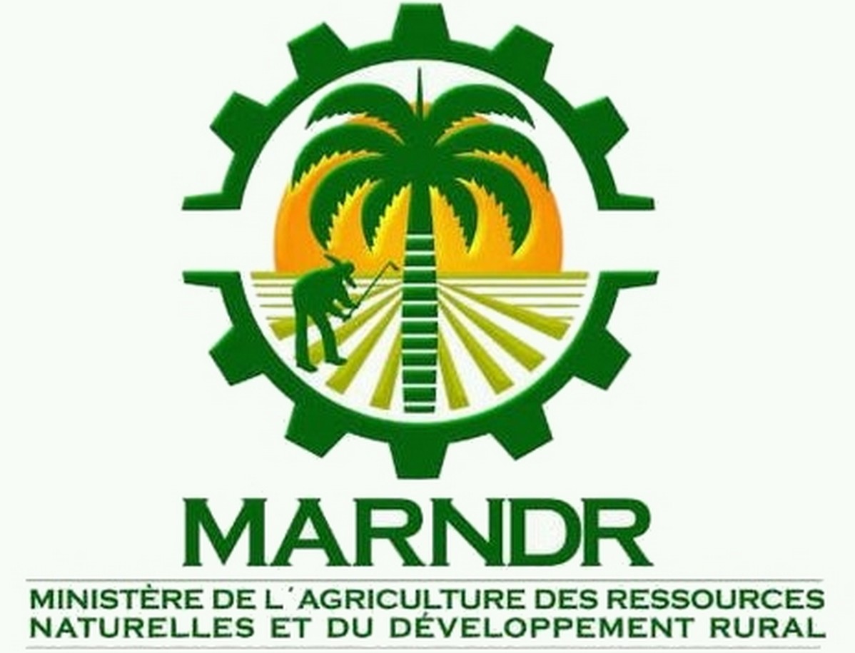 Production de riz : Le MARNDR note des progrès dans la vallée de l’Artibonite