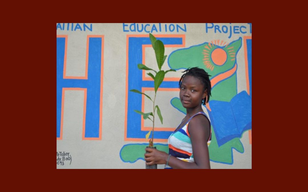 “Haitian Education Project” mobilise 5.000 volontaires pour des projets de développement