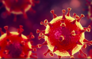 Coronavirus : Six cas confirmés en Haïti par le MSPP jusqu’au 23 mars 2020