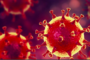 1063 cas confirmés de coronavirus er 31 décès dus à la maladie en Haïti jusqu’au 24 mai 2020